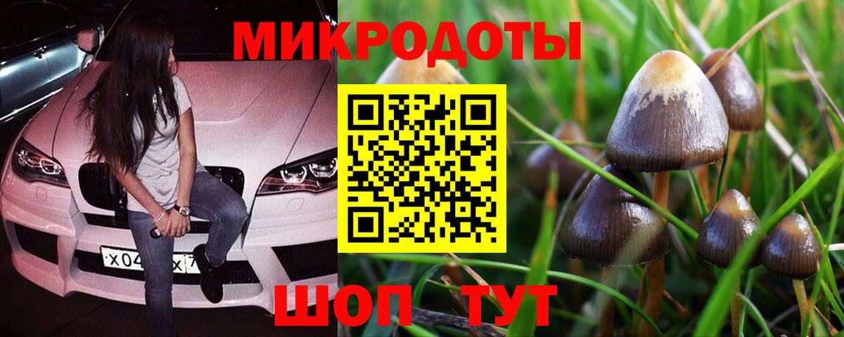 Галлюциногенные грибы мухоморы Карасук