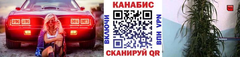 Канабис Amnesia Карасук